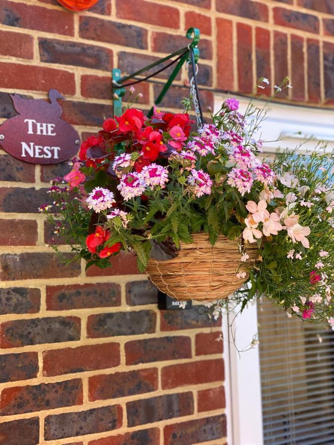 The Nest Kingston Apartment Winterborne Kingston Bagian luar foto